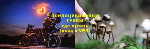 твердый Алексин