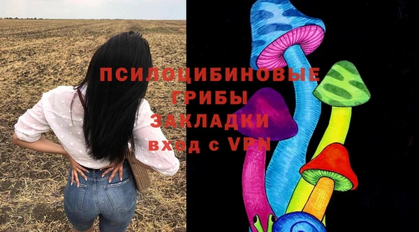 твердый Алексин