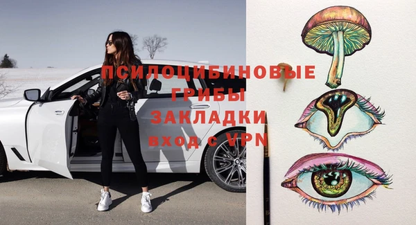 твердый Алексин